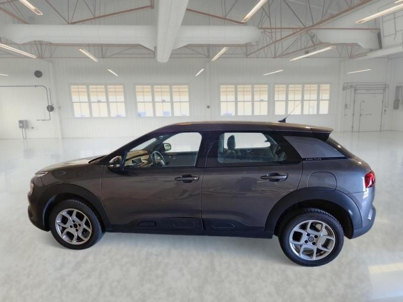 CITROEN C4 CACTUS 1.5 bluehdi Shine s/s 100cv