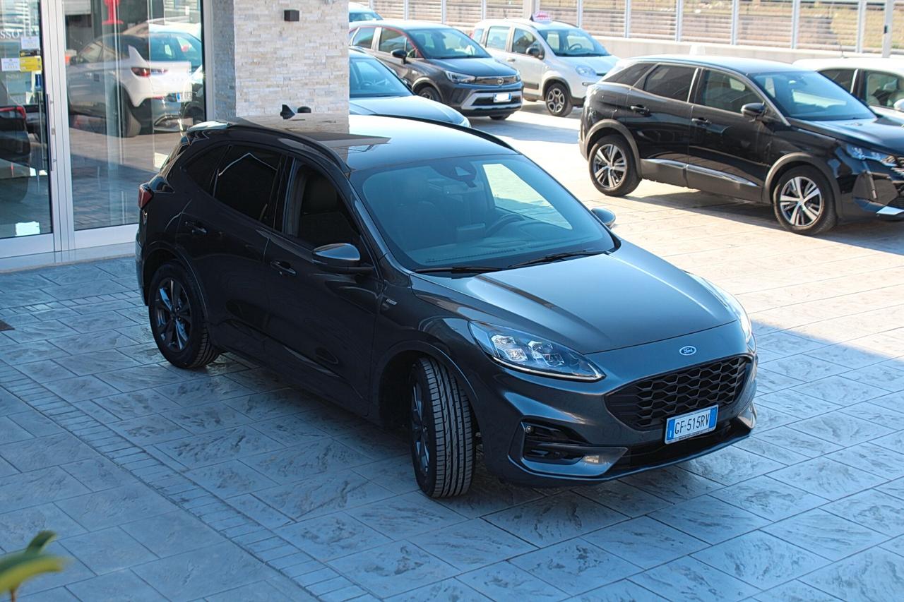 Ford Kuga 1.5 EcoBlue 120 CV aut. 2WD ST-Line X