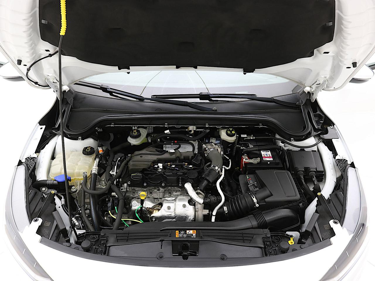 Ford Focus 1.5 EcoBlue 120 CV automatico SW Business