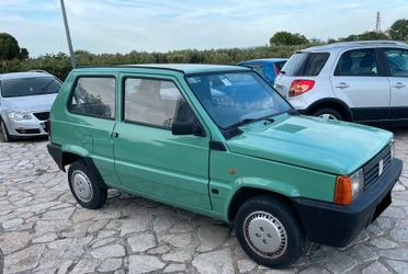 Fiat Panda 1100 i.e. cat Young