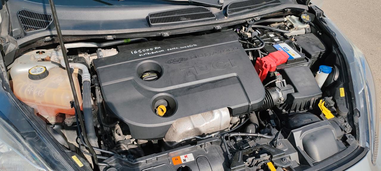 Ford Fiesta 1.5 TDCi 75CV 5 porte Business