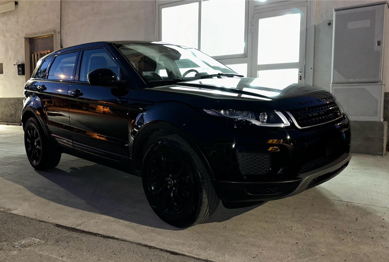 Land Rover Range Rover Evoque Range Rover Evoque 2.0 TD4 150 CV 5p. SE