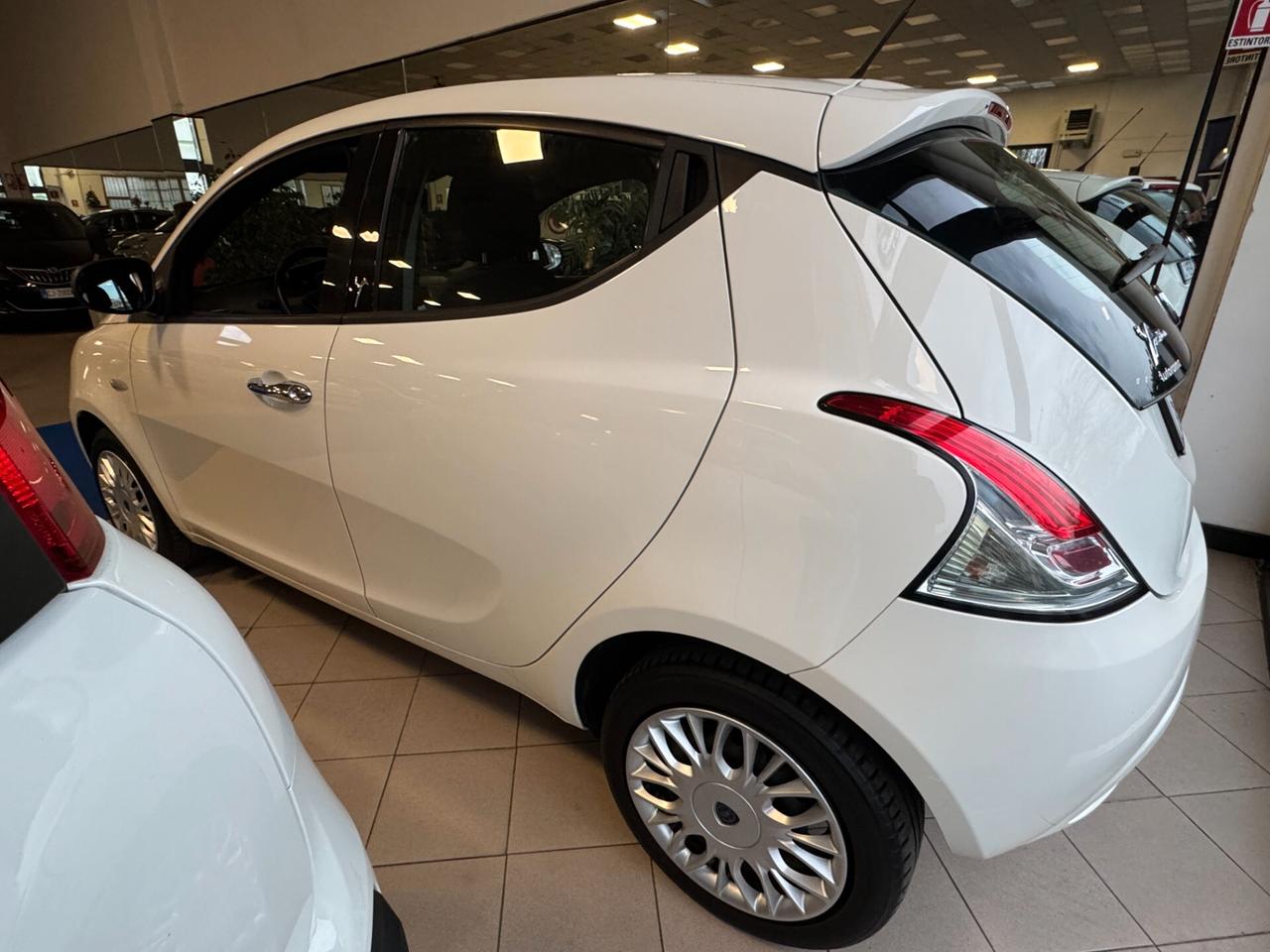 Lancia Ypsilon 1.2 Fire 69 CV 5 porte Silver