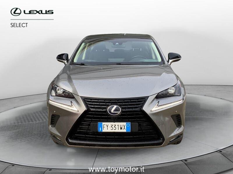 Lexus NX 1ª serie Hybrid 4WD F-Sport