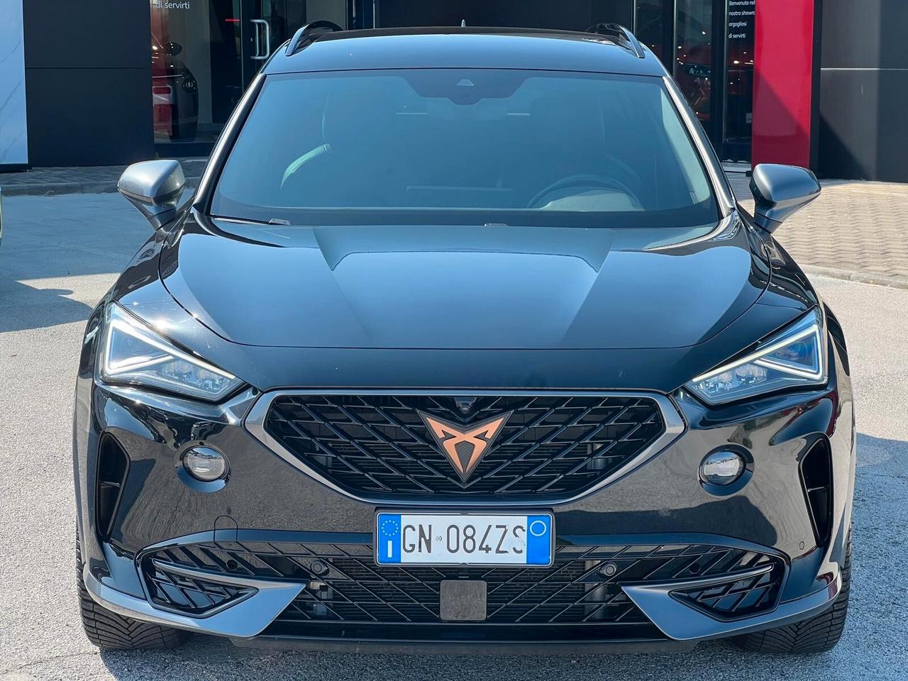 Cupra Formentor 2.0 TDI 4Drive DSG