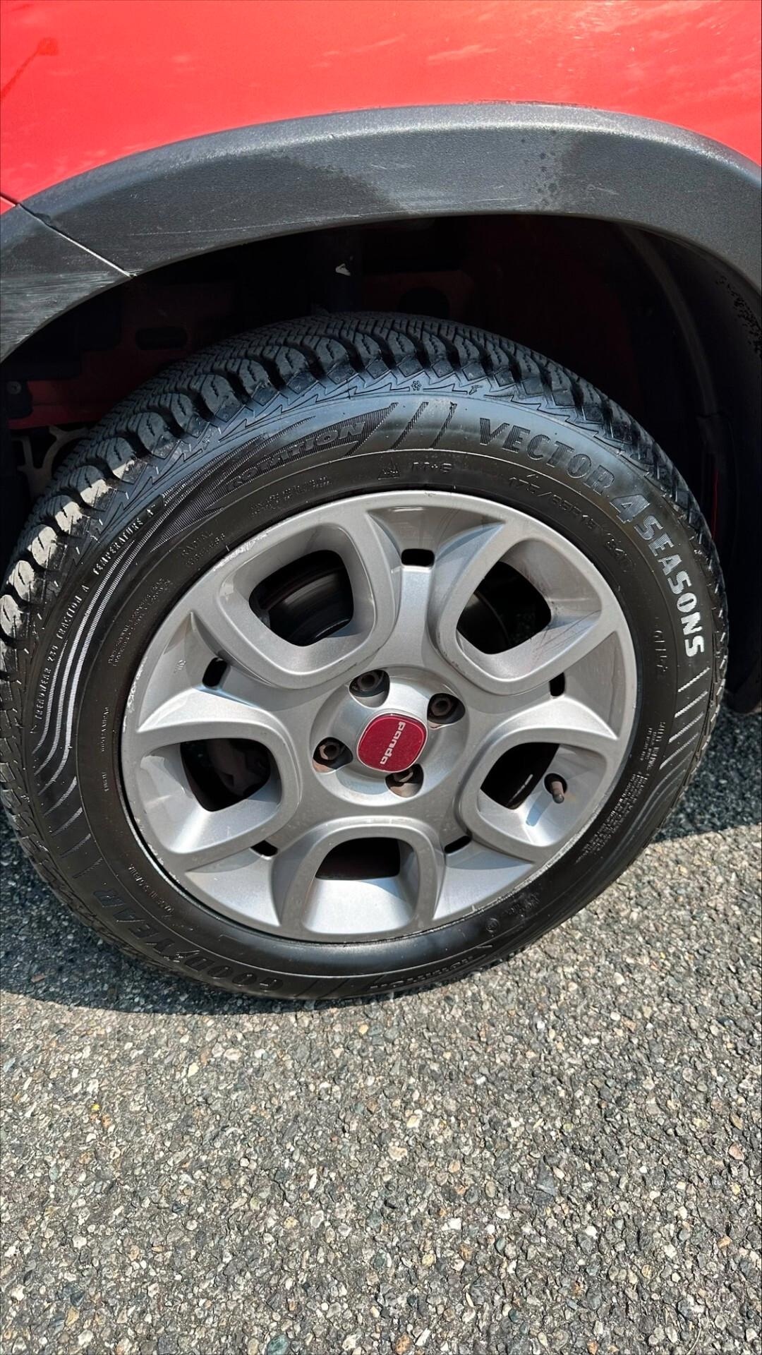 Fiat Panda 1.3 MJT S&S 4x4 Antartica UNICO PROPRIETARIO, OK NEOPATENTATO, PASSAGGIO INCLUSO.