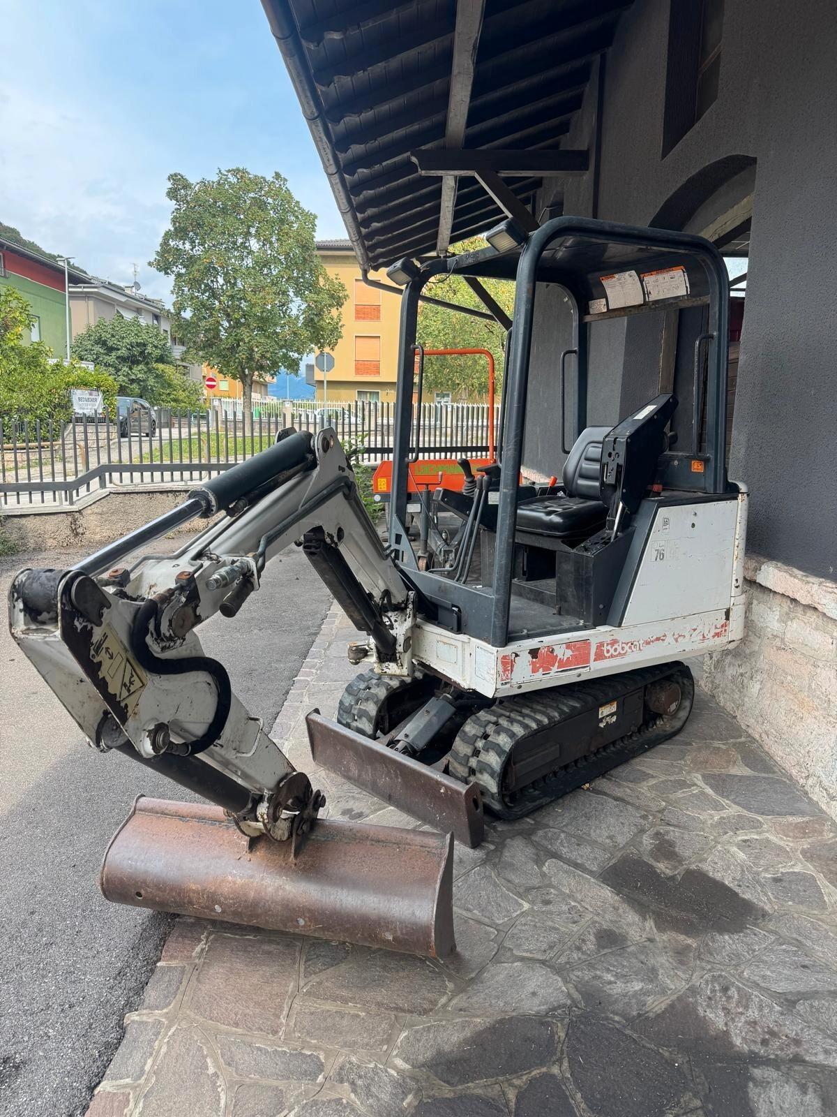 Bobcat