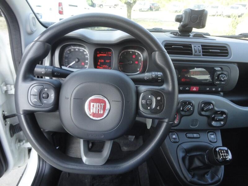 FIAT Panda 3ª serie Panda 1.0 FireFly S&S Hybr...