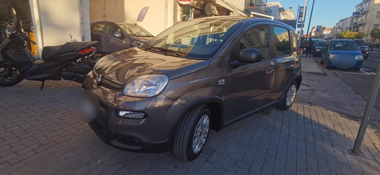 Fiat Panda 1.0 FireFly Hybrid City Life 2022 USATO
