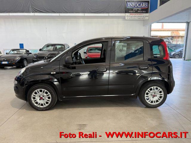 FIAT Panda Hybrid 1.0 FireFly 70 cv Neopatentati - PROMO