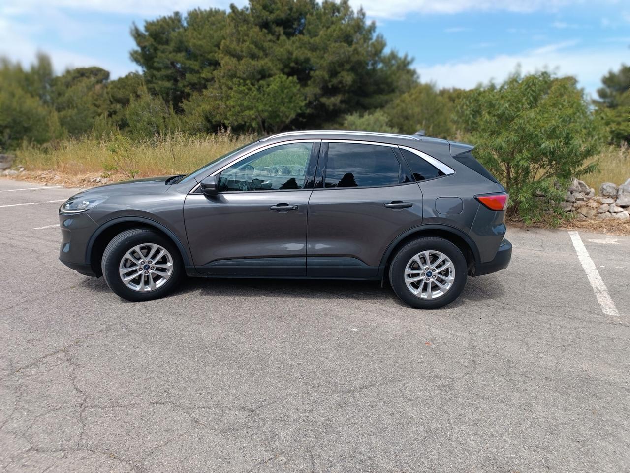 Ford Kuga 1.5 EcoBlue 120 CV aut. 2WD Titanium Business