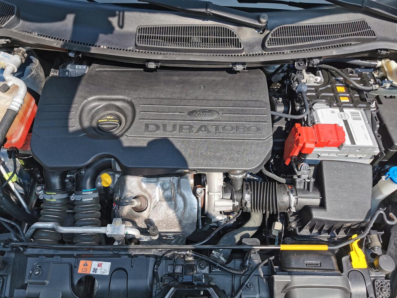 Ford Fiesta Plus 1.5 TDCi 75cv 5 porte