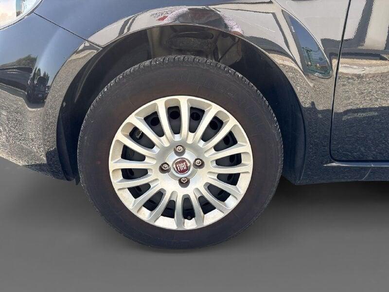 FIAT Punto Punto 1.4 8V 5 porte Easypower Street