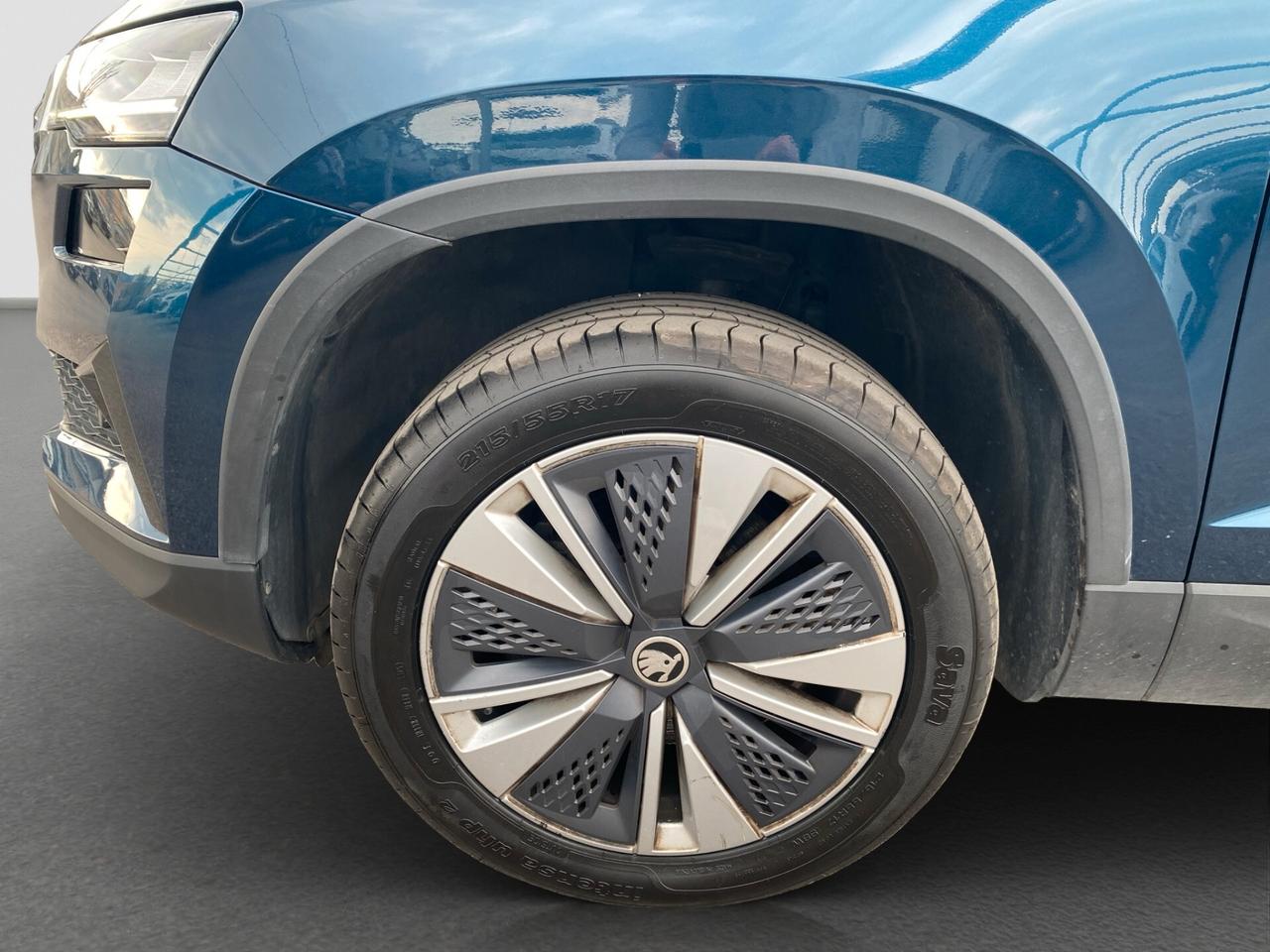 Skoda Karoq 2.0 TDI SCR 115 CV Executive