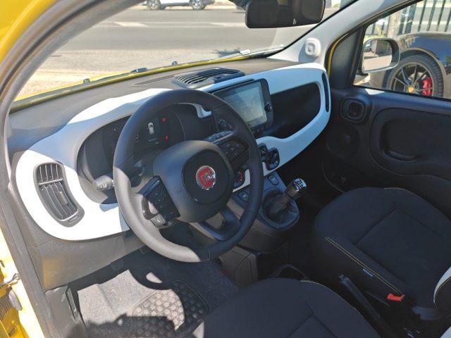 FIAT Panda 1000 HYBRID PANDINA 70 CV CARPLAY PDC ITALIA