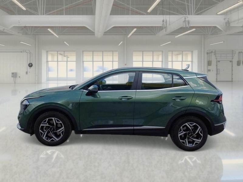 KIA SPORTAGE 1.6 CRDI MHEV BUSINESS 2WD DCT SUV