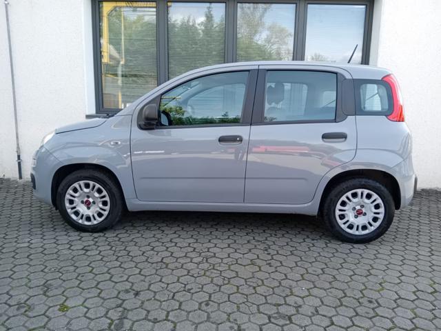 FIAT Panda 1.2 BENZINA 69CV EASY PROMO ALL-INCLUSIVE