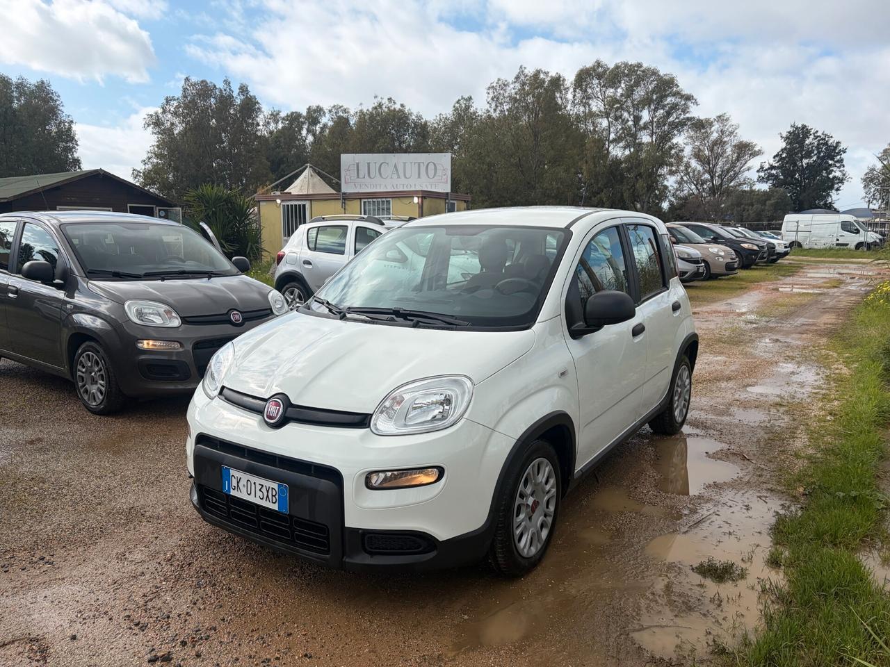 FIAT PANDA 1.0 HYBRID 46.000 KM ANNO 2023 GARANTITA