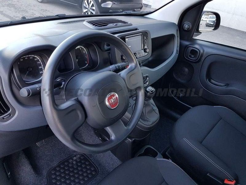 FIAT Panda Panda 1.0 firefly hybrid s&s 70cv