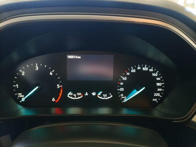 FORD Focus 1.5 EcoBlue 120 CV SW Business