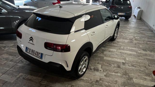 CITROEN C4 Cactus BlueHDi 120 S&S EAT6 Shine
