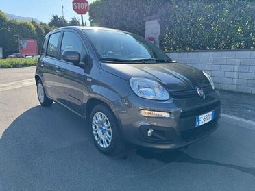 FIAT Panda 3ª serie Panda 1.2 Pandazzurri