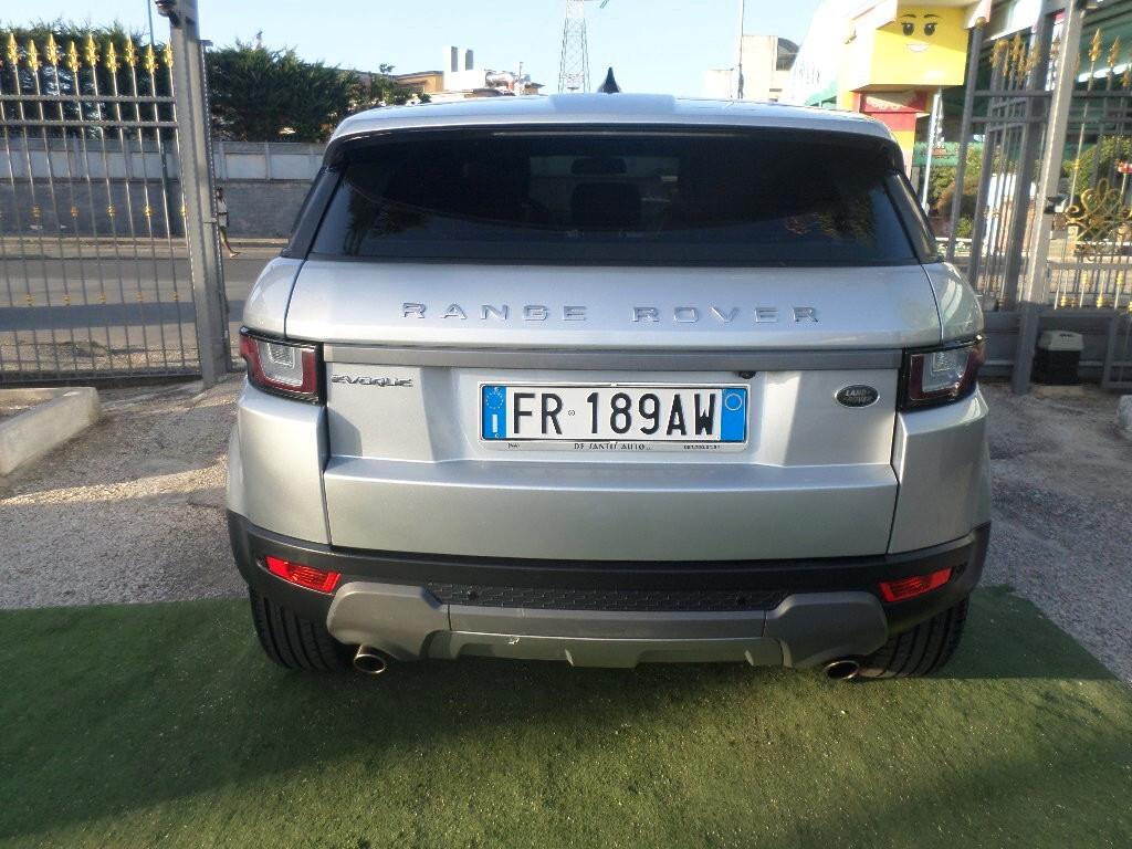Land Rover Range Evoque 2.0 TD4 150 CV 5p. Business Edition Pure