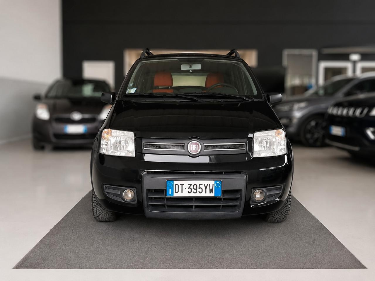 Fiat Panda 1.2 Climbing Natural Power