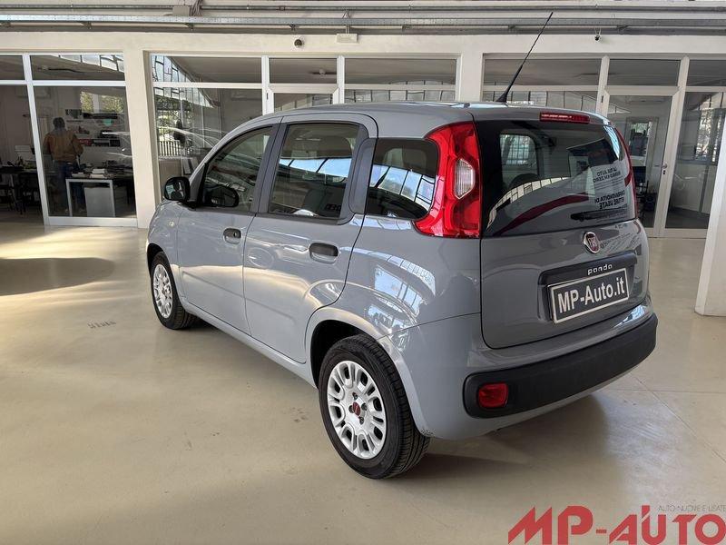 FIAT Panda 1.2 69cv BENZINA UNICO PROPRIETARIO
