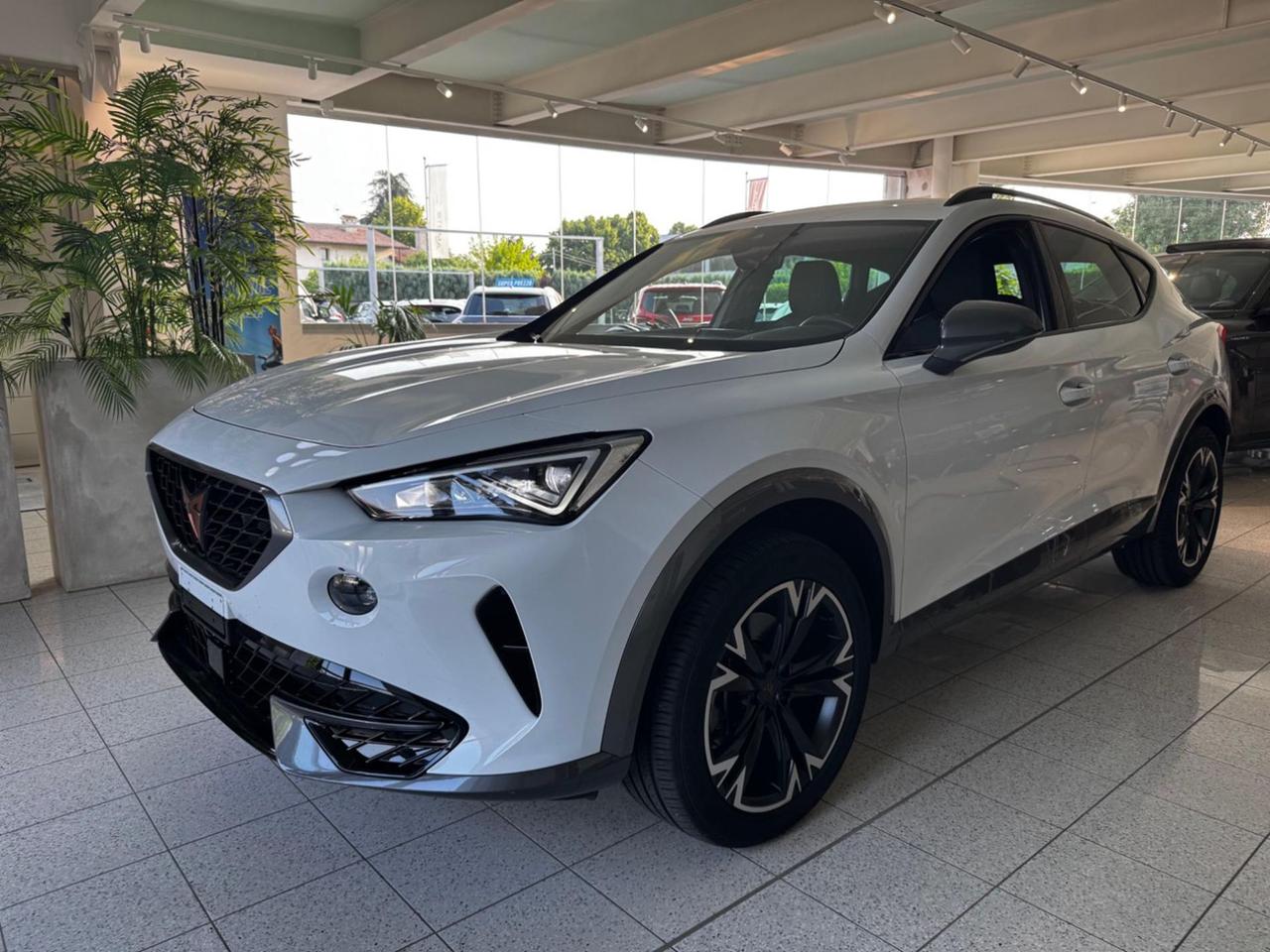 CUPRA Formentor 2.0 TDI 4Drive DSG - TELECAMERA!