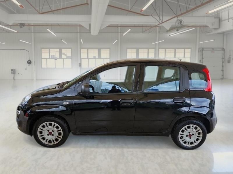 FIAT PANDA 1.0 FIREFLY 70 CV SES HYBRID 5 PORTE BERLINA