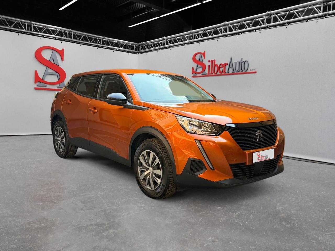 Peugeot 2008 2008 1.2 puretech Active Pack s&s 100cv