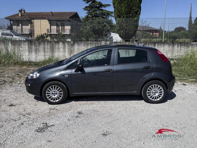 FIAT Punto 1.2 8V 5 porte Street - PER OPERATORI DEL SETTORE
