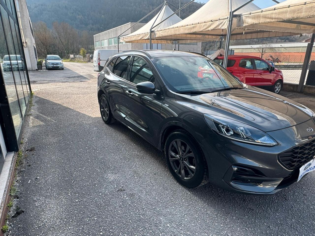 Ford Kuga 2.0 EcoBlue Hybrid 150 CV 2WD ST-Line