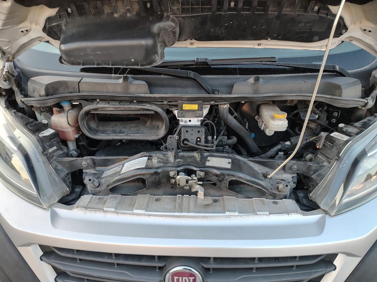 Fiat Ducato 33 2.3 MJT 130CV iva esposta 7 POSTI GRU FASSI