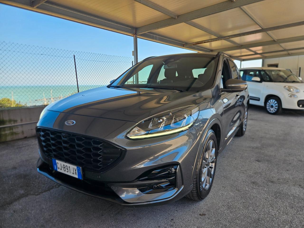 Ford Kuga 2.0 EcoBlue Hybrid 150 CV 2WD ST-Line