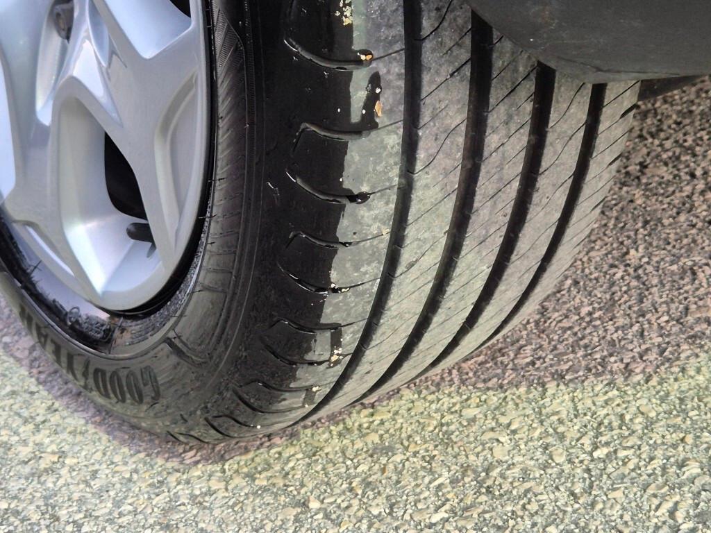 Ford Focus BERLINA 1.5 TDCi Plus euro-6