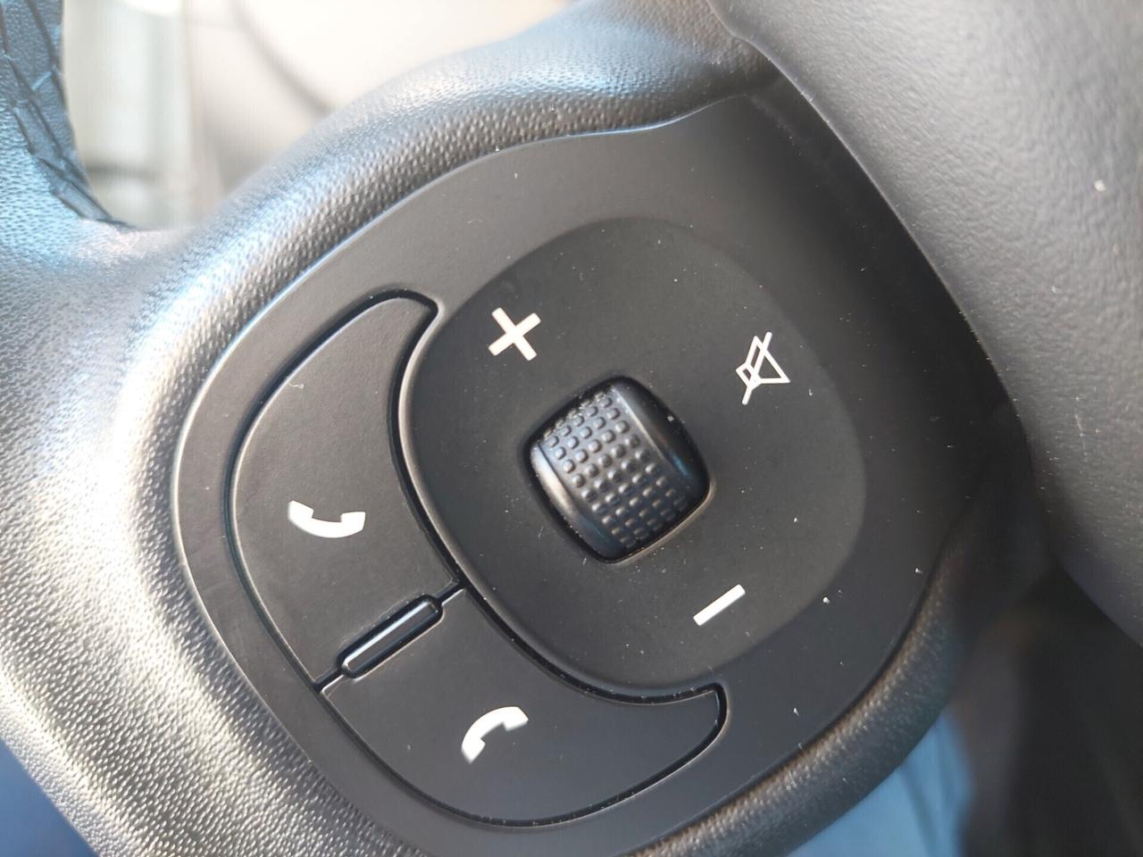 Fiat Panda 1.0 FireFly S&S Hybrid City Cross