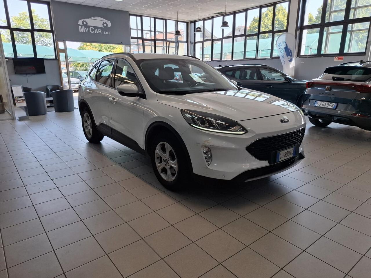 Ford Kuga Diesel Manuale