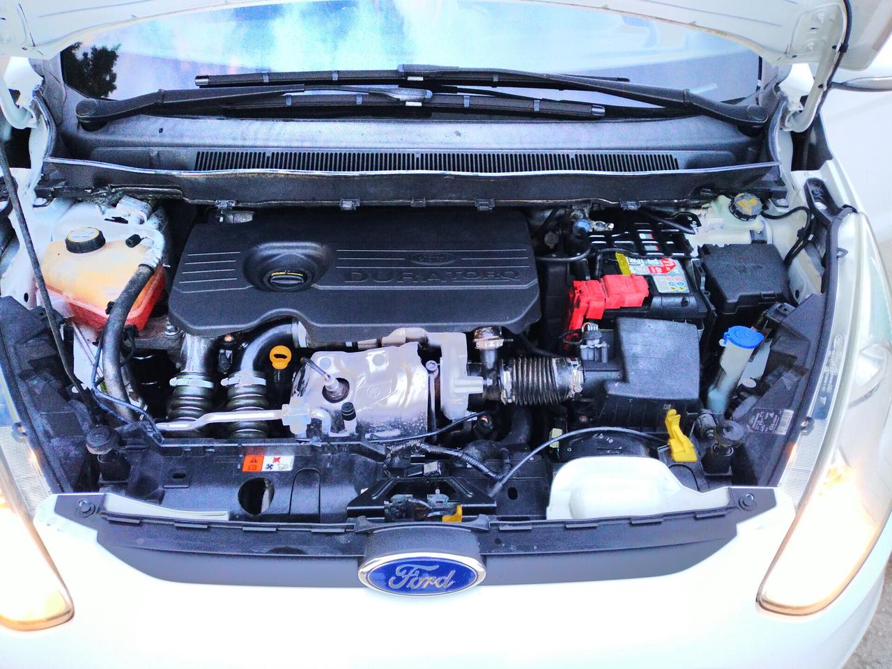 Ford B-Max 1.5 TDCi 75 CV Plus