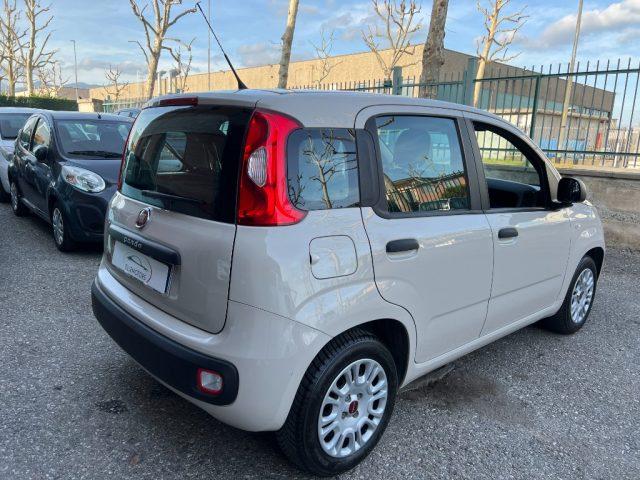 FIAT Panda 1.2 NEOPATENTATI 5 POSTI