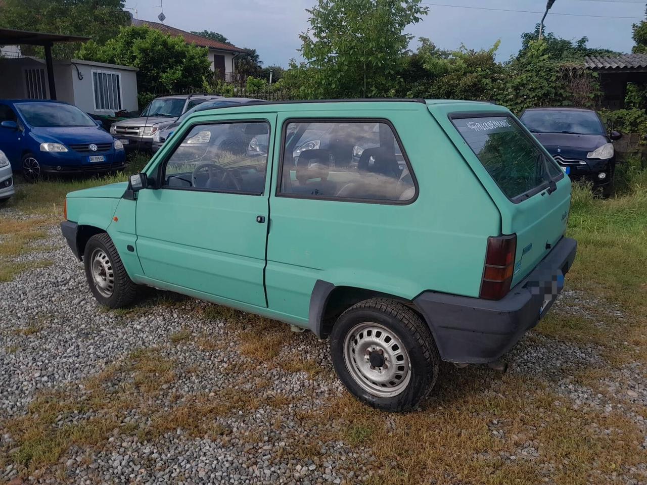 Fiat Panda 900 i.e. cat Young