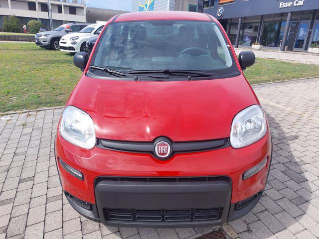 FIAT Panda 1.0 70cv Hybrid Panda My23