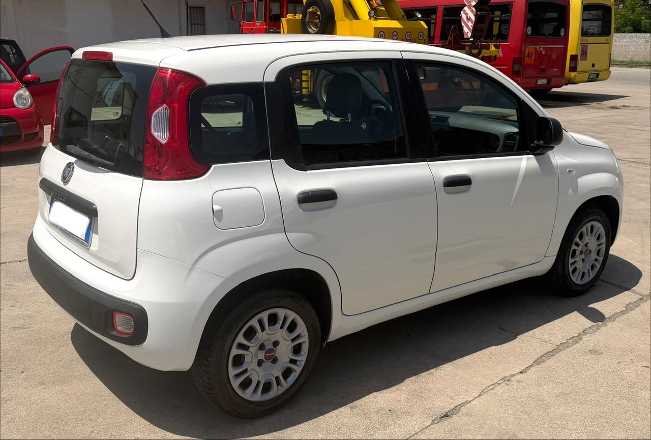 Fiat Panda 1.2 Benz 69Cv 2013 NEOPATENTATI
