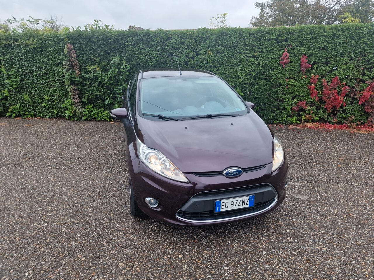 Ford Fiesta 1.2 82cv 5p