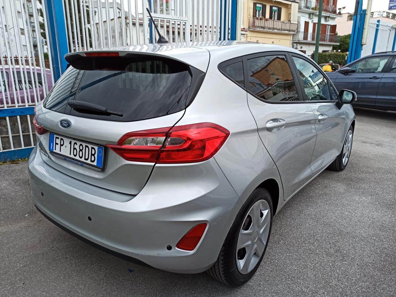 Ford Fiesta 1.5 TDCi 86 cv 5 porte Plus