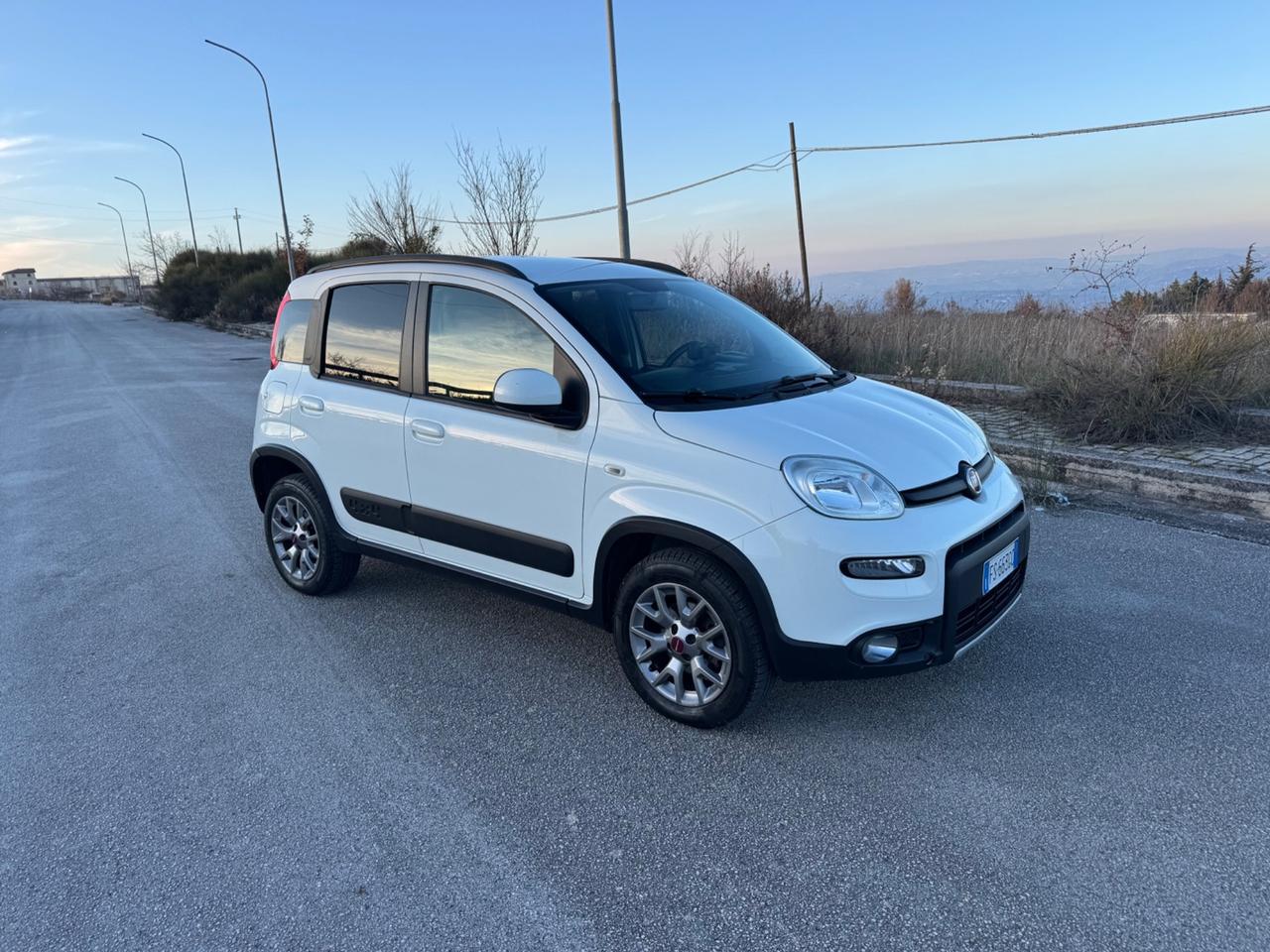 Fiat Panda Cross 1.3 MJT 95 CV S&S 4x4