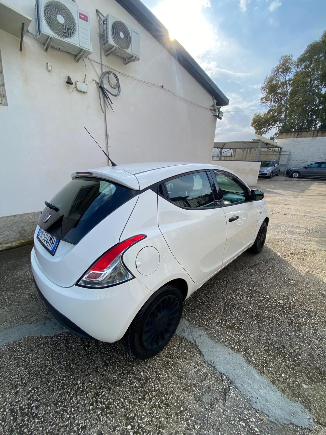 Lancia Ypsilon 1.2 69 CV 5 porte Elefantino