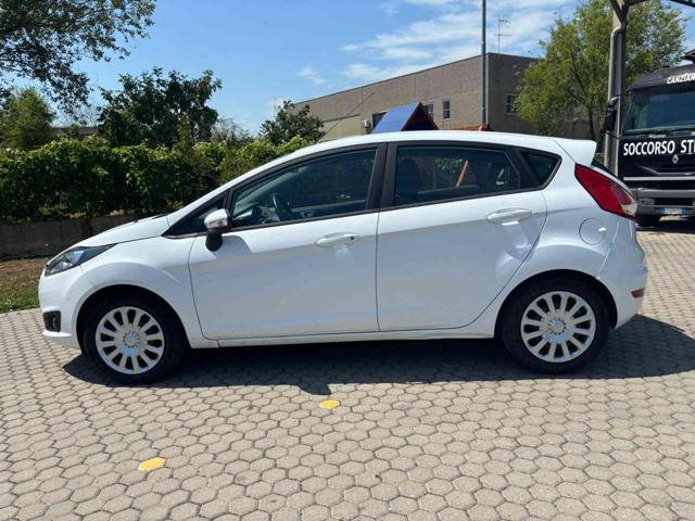 FORD Fiesta 1.5 TDCi 75CV 5 porte Titanium