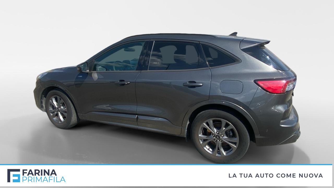 FORD Kuga III 2020 - Kuga 2.0 ecoblue ST-Line X 2wd 120cv auto
